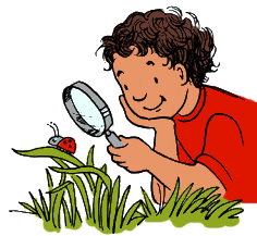 bug watching kid